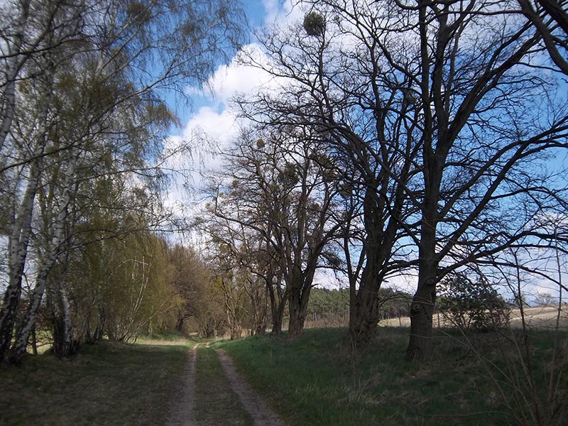 Wanderweg