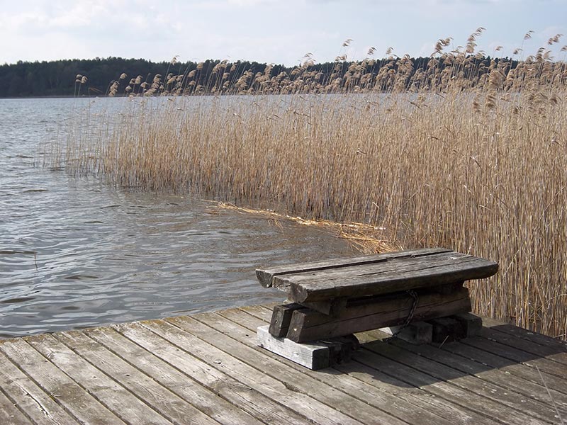 Bank und Steg am See
